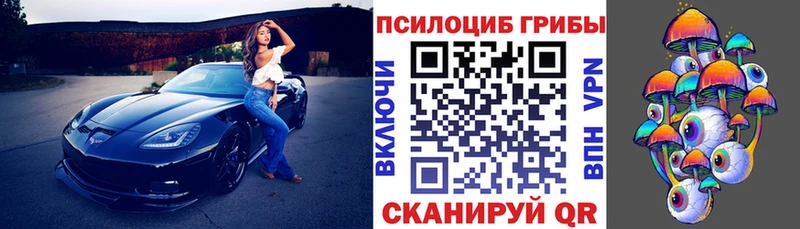 цены наркотик Приволжский Галлюциногенные грибы Cubensis